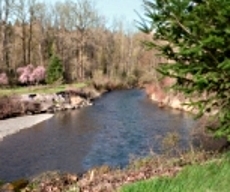 Landscaping for flood prevention